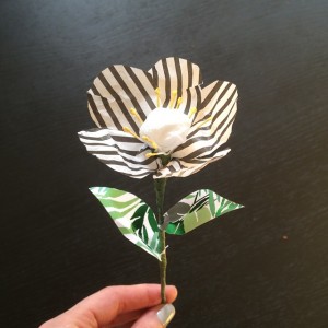 zebra flower